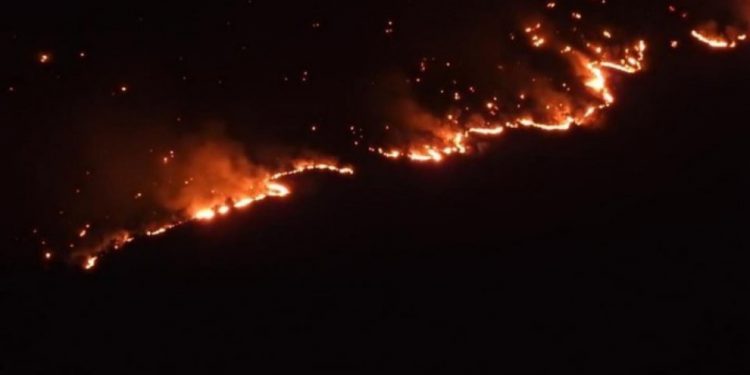 İşgalci TC askerinin Cudi ve Gabar’da çıkardığı yangın sürüyor