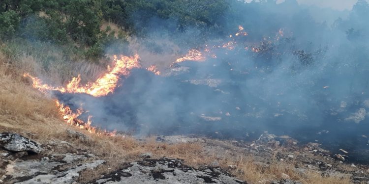 600 hektarlık alan küle döndü, itfaiye değil halk söndürdü