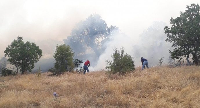 Lice’de orman yangını