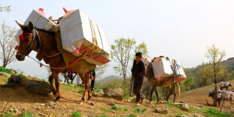 İran askerleri kolberlere ateş açtı: 2 ölü, 5 yaralı