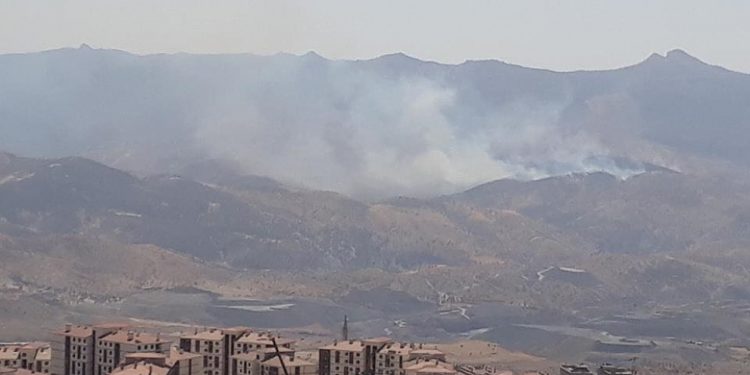 İşgalci Türk askerleri Cudi Dağı’nda yangın çıkardı