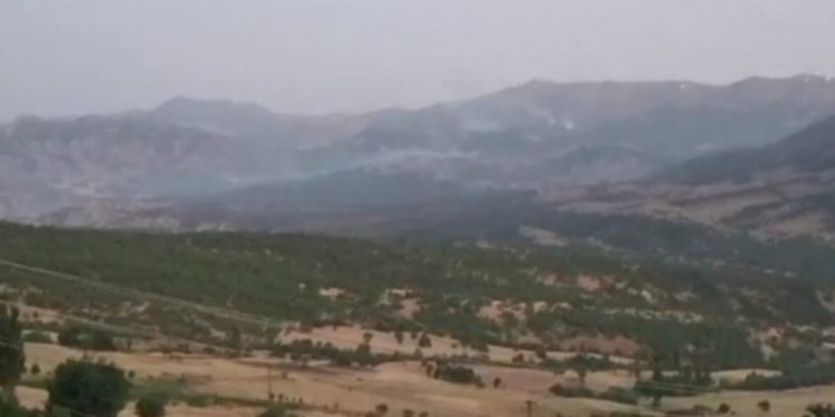 Sömürgeci TC ordusu Kürdistan doğasını yakmaya devam ediyor