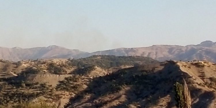 Cudi’de orman yangını