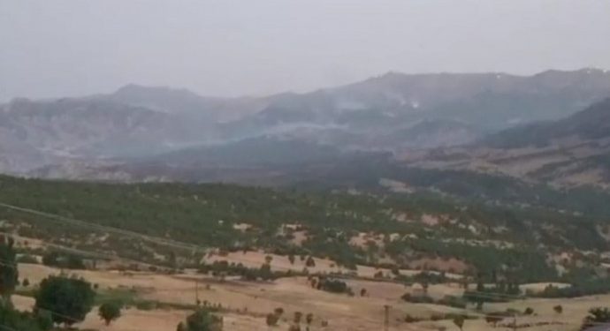Kürdistan’daki yangınlara müdahale edilmiyor