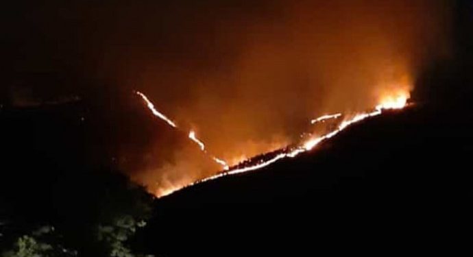 Cudî dağından sonra Qilêban’da orman yangını