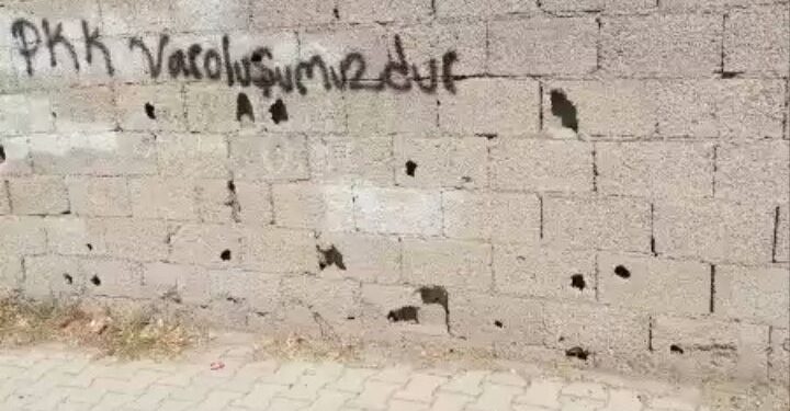 Gençlikten Amed Sur’da yazılama