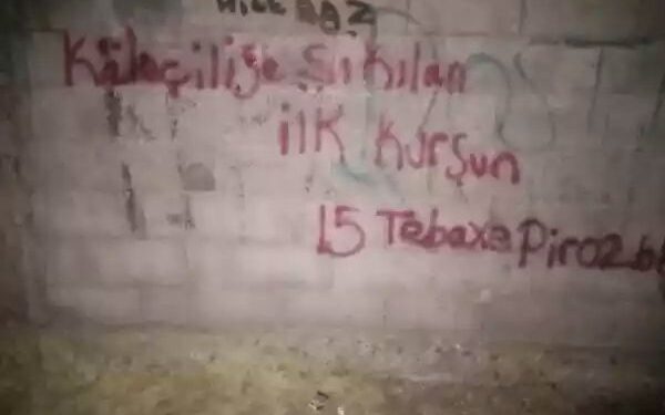 Gençlikten Amed Sur’da yazılama