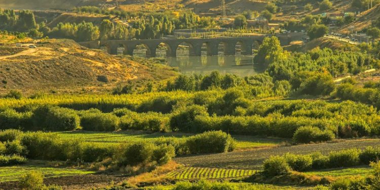 Hevsel Bahçeleri yakılmak istendi