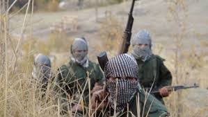 Heftanin’de Gerillanın her eylemi Devrimci bir operasyona dönüşüyor