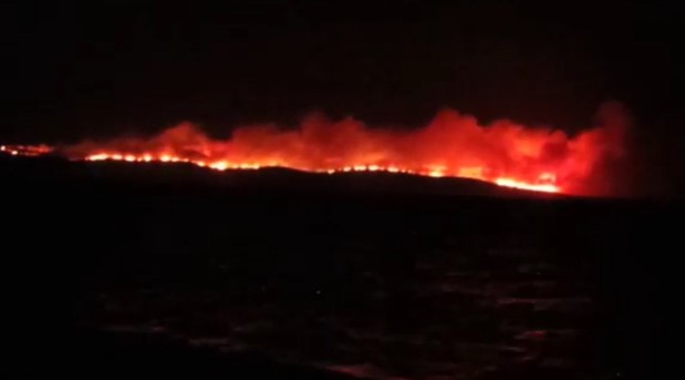 SON DAKİKA – Misilleme Timlerinden sömürgecilere ve işbirlikçilere karşı eylemler