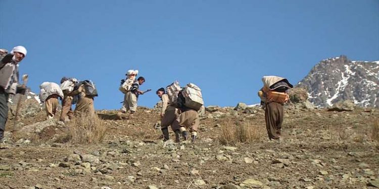 İran rejimi iki kolberi yaraladı