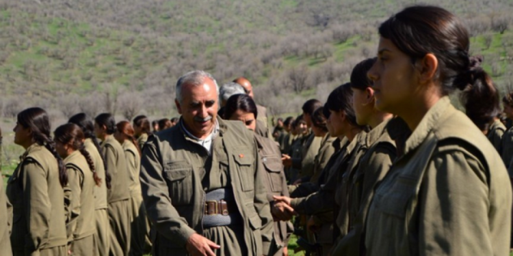 HSM Çelê’deki gerilla eylemini kutladı