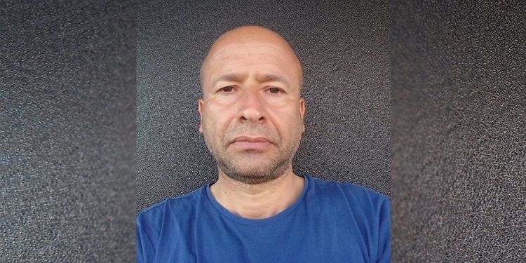 Toplumsal yaşam, sanat ve dizi kültürü