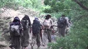 Tepê Şehît Hozan Eylem Hazırlığı