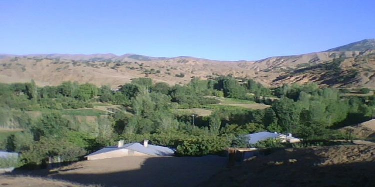 İşgalciler 1 köylüyü öldürüp 3 köylüyü yaraladı