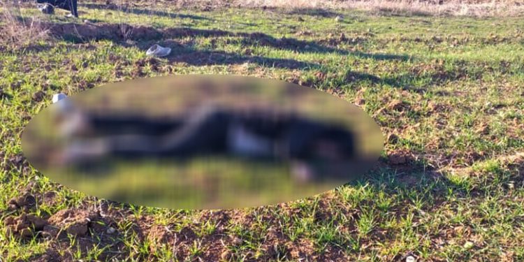 TC çeteleri Serêkaniyê’de bir genci katletti