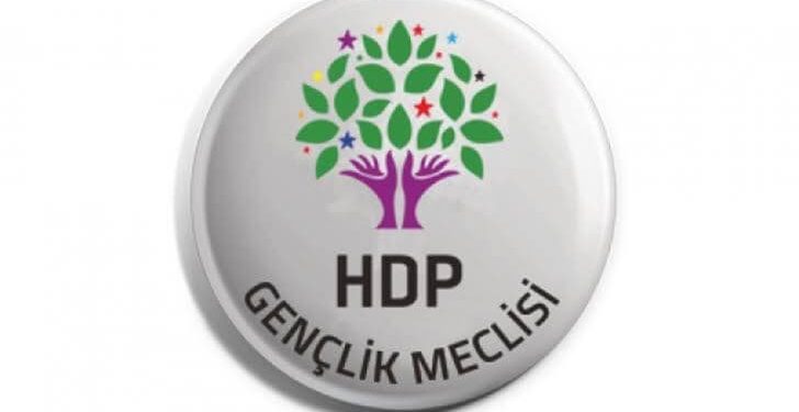 HDP Gençlik Meclisi üyesi 7 genç tutuklandı