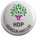 HDP Gençlik Meclisi üyesi 7 genç tutuklandı