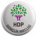 HDP Gençlik Meclisi: Faşizmi yıkacağız, özgür yaşamı inşa edeceğiz