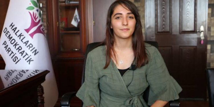 Dersim Dağ: Çözüm üretmeye ve mücadele etmeye devam edeceğiz