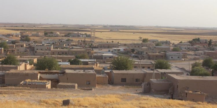 Köpek asker tarafından Dirbêsîyê’ye salındı