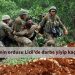 Faşist T.C’nin ordusu Licê’de gerilladan darbe yiyip kaçtı