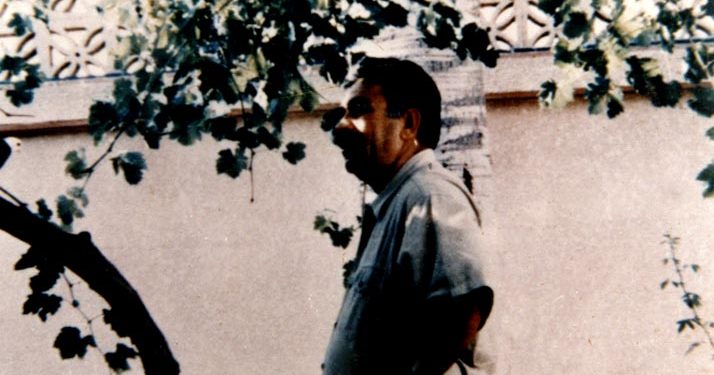 “Demokratik ulus kültürü”