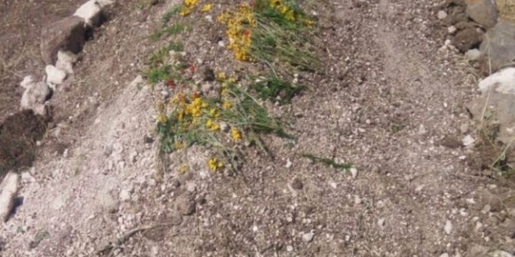 HPG gerillası Harun Fırat memleketinde toprağa verildi