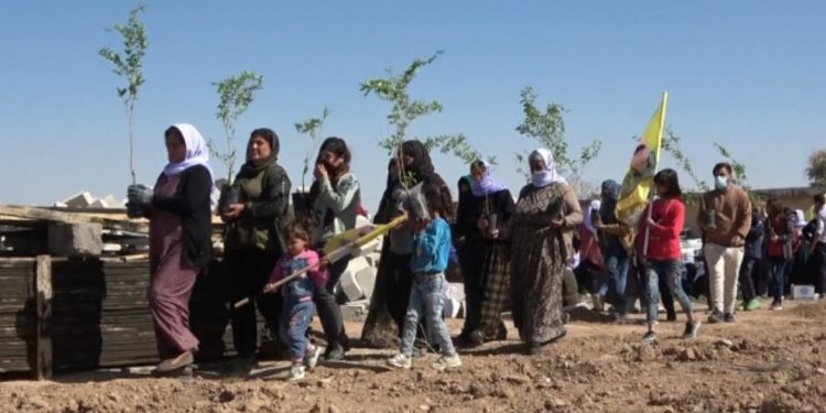 Êzîdî kadınlar Halklar Önderi’nin doğum günü vesilesiyle fidan dikti