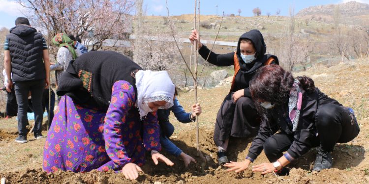 Mêrdîn ve Şirnex’de 4 Nisan vesilesiyle 72 fidan dikildi