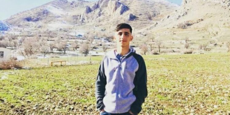 Devlet terörü devam ediyor; Lîce’de köylülere fiziki şiddet uygulandı ve 4 kişi gözaltına alındı