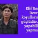 Elif Ronahi: Devrim koşullarımız çok güçlüdür, kim ne yapabiliyorsa yapmalıdır