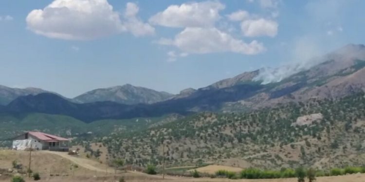 İşgalci TC Lîce’de operasyon başlattı