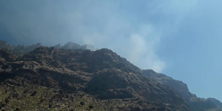 HPG: Ağır darbeler yiyen işgalciler bilinçli bir şekilde sivil yerleşim yerlerini bombalıyor