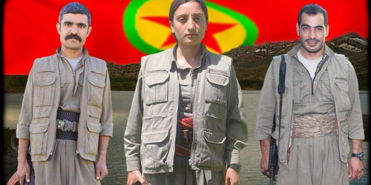 HPG, 2017 yılında Zap’ta şehit düşen 3 gerillayı andı