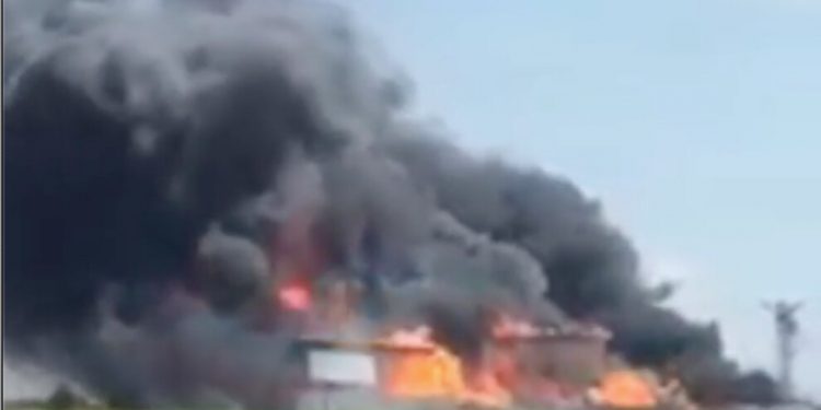 SON DAKİKA – Jinên Tîrêjên Rojê’den tecride karşı faşizme ve bekçilerine eylem