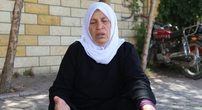 Anne Emine Şenyaşar: Ailemi toprağa gömdüler, en azından oğlumu bıraksınlar