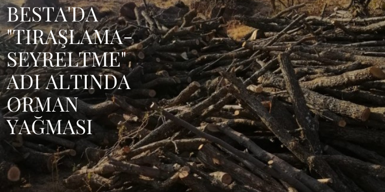 Besta’da “tıraşlama-seyreltme” adı altında orman yağması