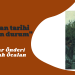 “Kürdistan tarihi açısından durum”