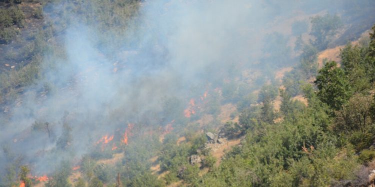 Kürdistan’ın 4 kentindeki yangınlar yayılıyor; müdahale edilmesi engelleniyor