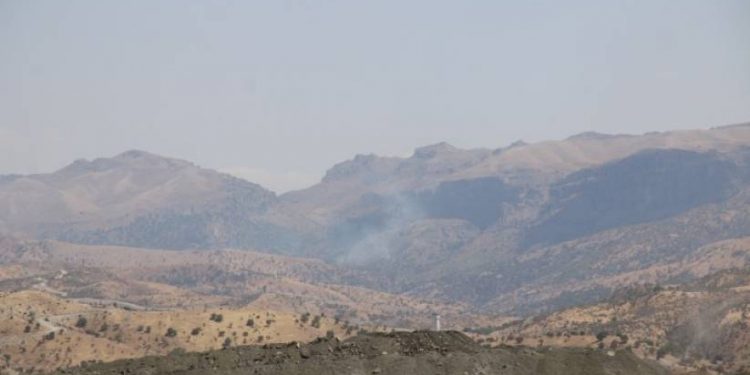 Besta’da ormanlık alanlarda ağaç kıyımı ve orman yangını devam ediyor