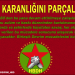 HBDH: Darbe ile başlayan sürecin diğer tarafı ise katıksız bir direniştir