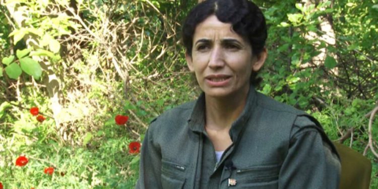 Rewşen Mêrdîn: Gerillanın verdiği olağanüstü irade savaşımı bu saldırıları püskürtmektedir