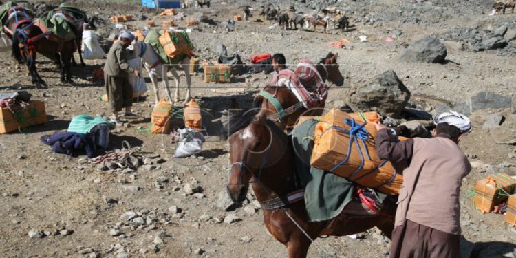 İşgalci TC’nin savaş uçakları kolberleri bombaladı; 2 ölü, 2 yaralı