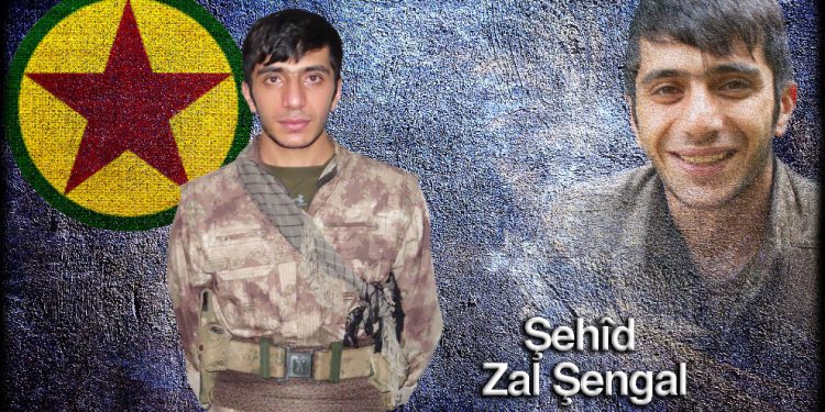 HPG Zal Şengal’in şehadete ulaştığını duyurdu