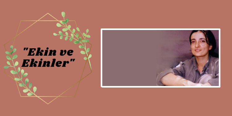 “Ekin ve Ekinler”