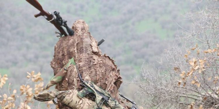 “Gerilla Sabretmeyi Biliyor”