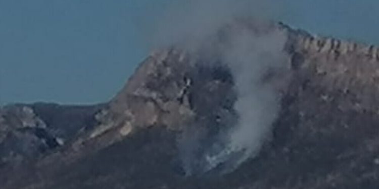 Gabar’da orman yangını