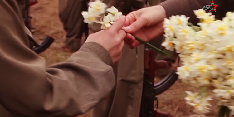 Özgürlüğe koşanlar: Kadınlar!