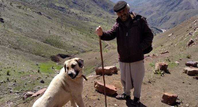 Adıyaman ve Mersin’de 4 kişi rehin alındı